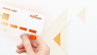 Payoneer Digital Purchasing Mastercard © Payoneer